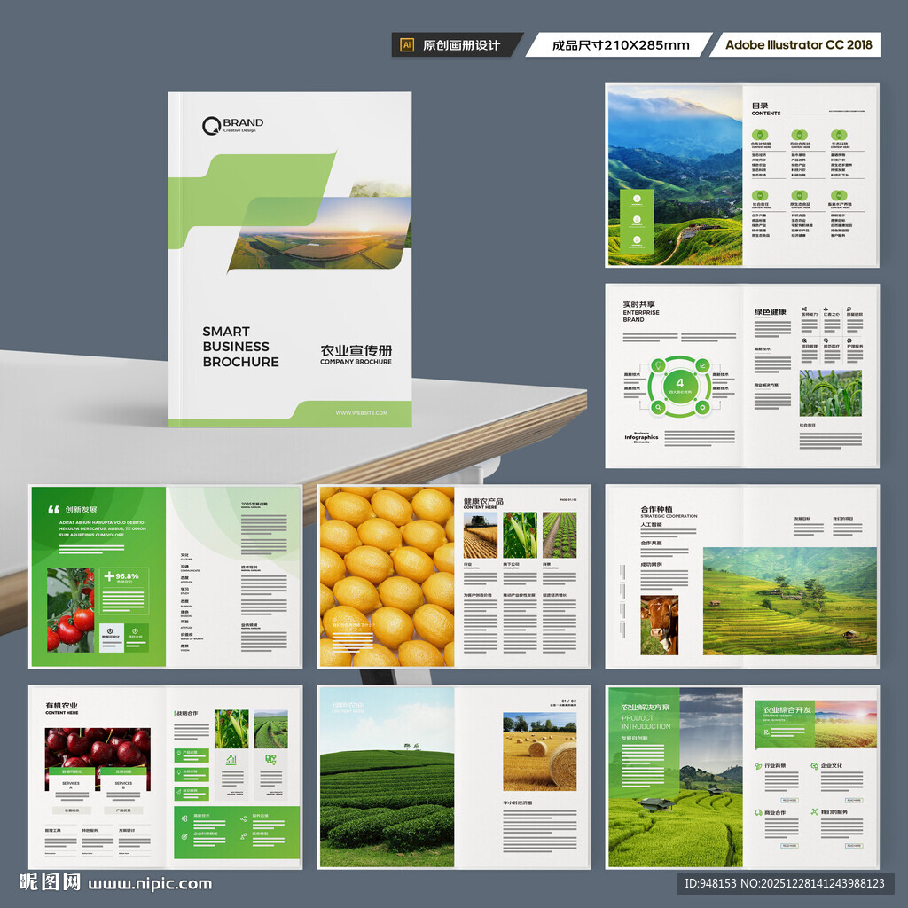 农业合作社画册