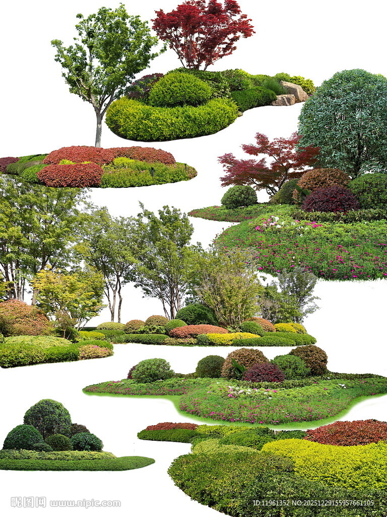 景观植物地被绿篱灌木组团02