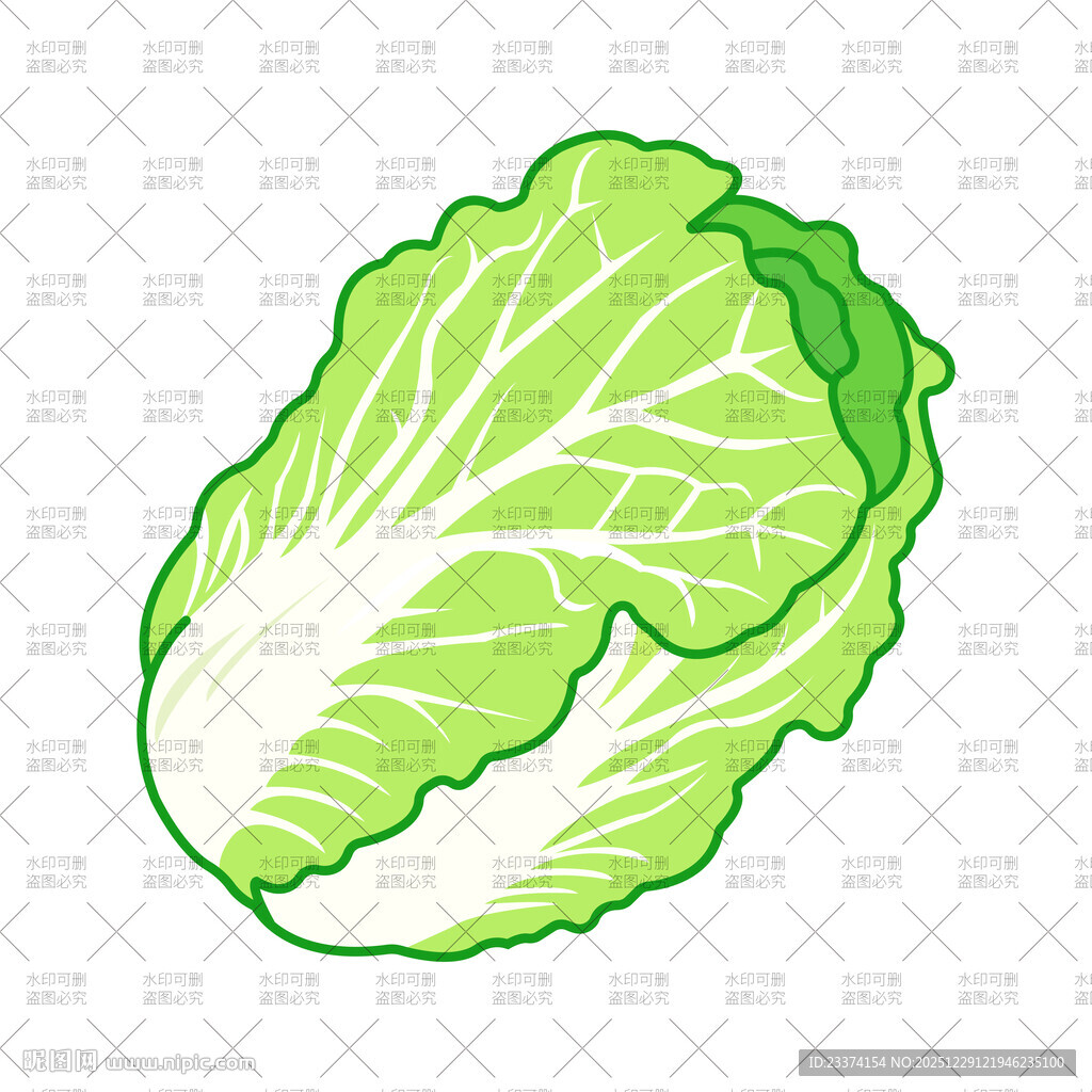 大白菜插画