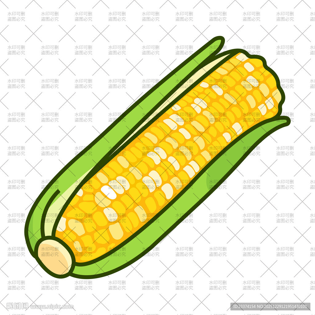 甜玉米插画