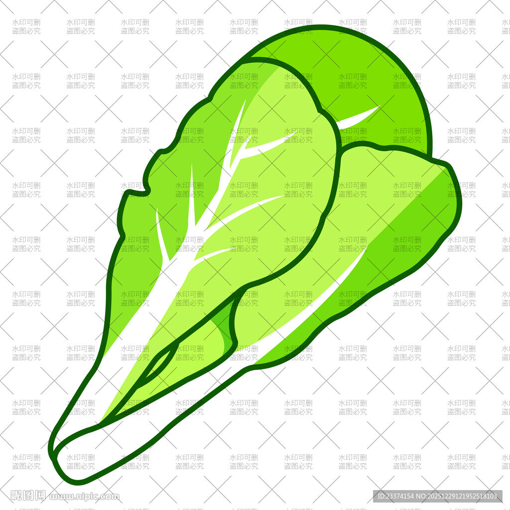 小白菜插画