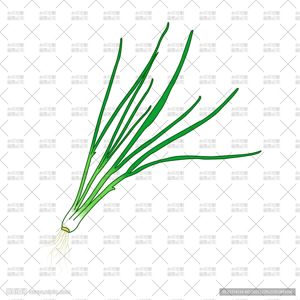 小葱苗插画