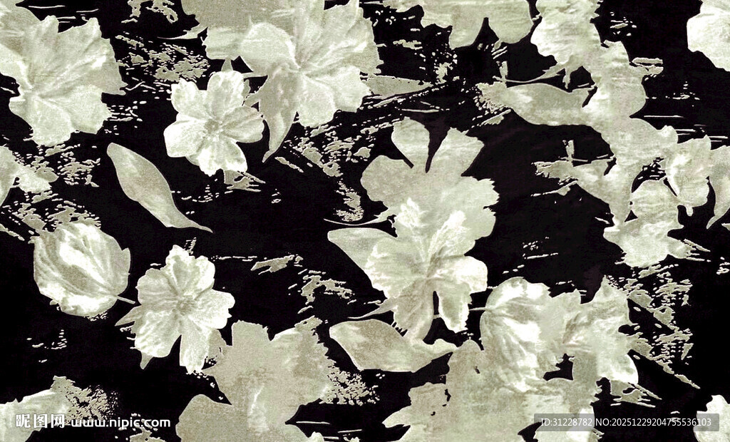 黑白花卉图案纹理