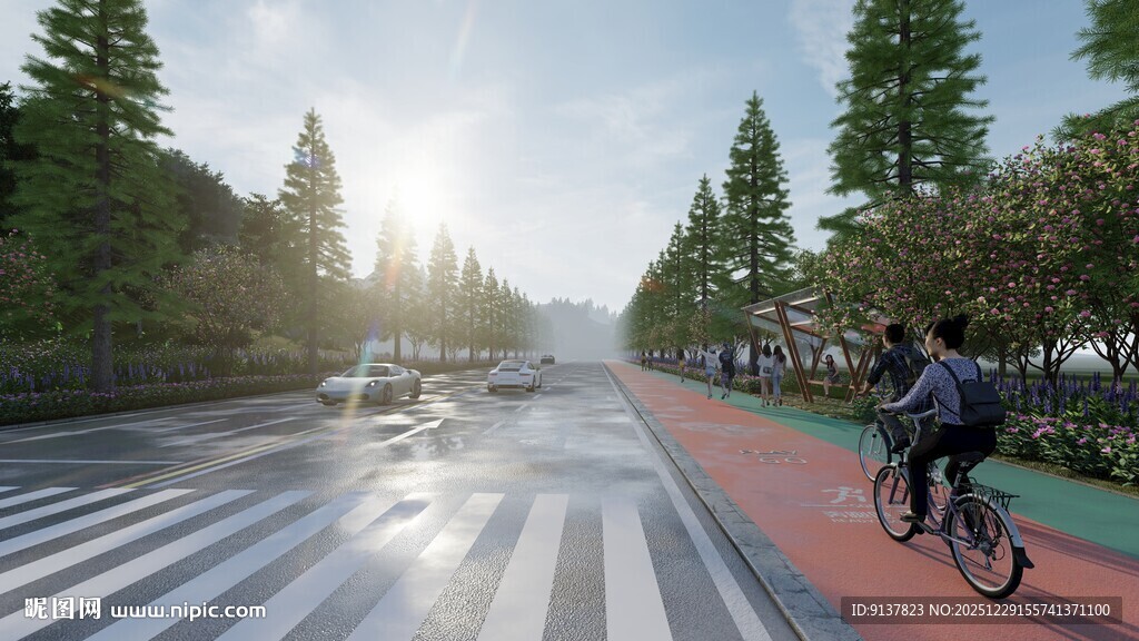 清晨骑行在林荫道路上