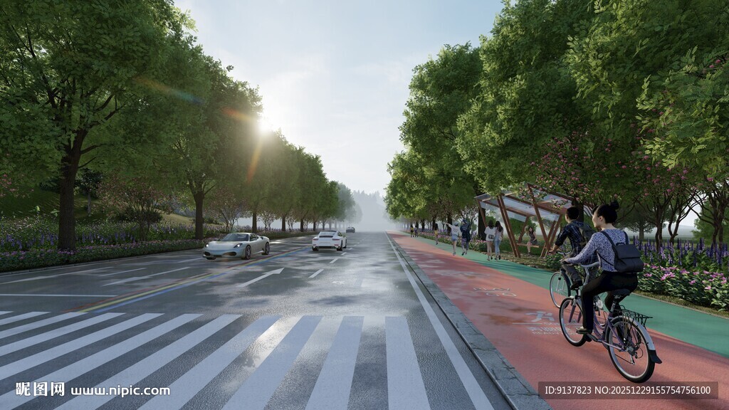 清晨骑行于林荫道路上