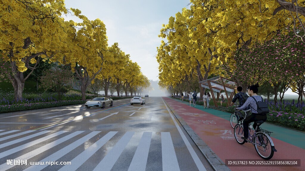 秋日骑行路 黄叶伴行人