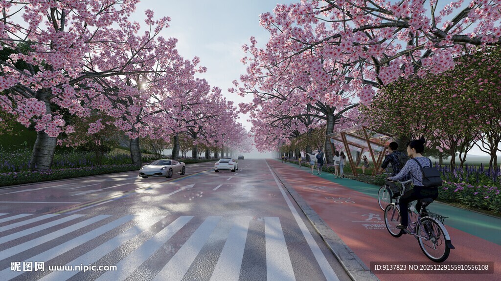 樱花道上的骑行者