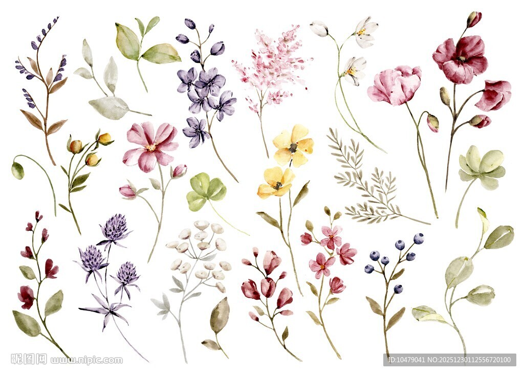 手绘多彩花卉图案集合