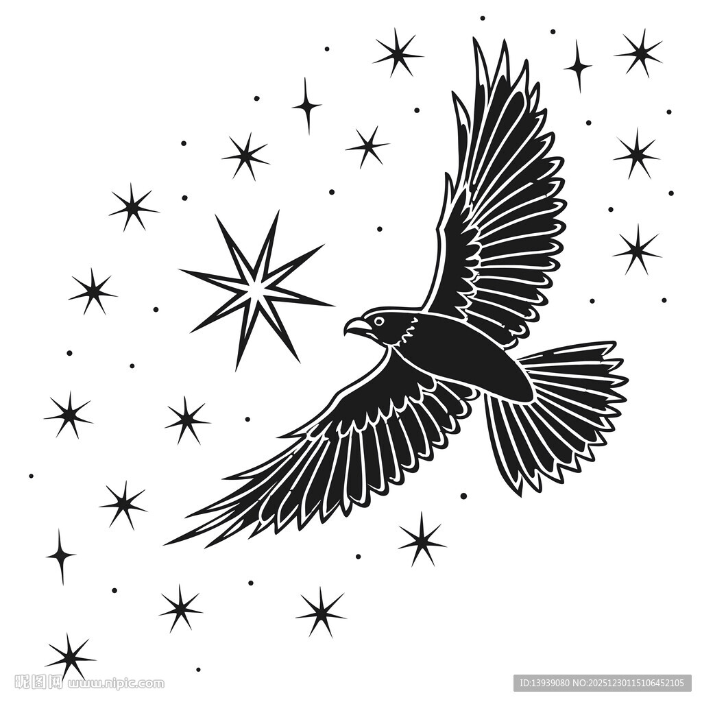 飞翔的鹰与闪耀星芒