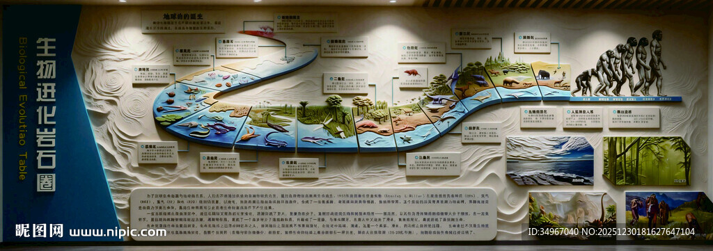 生物进化演示图文化墙文化墙