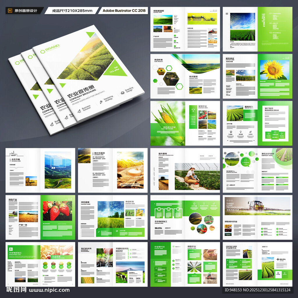 农产品画册