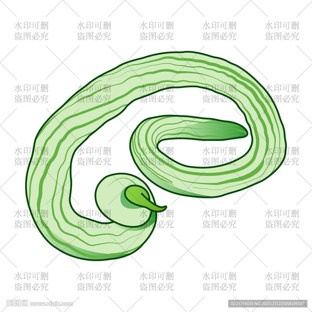 蛇瓜插画