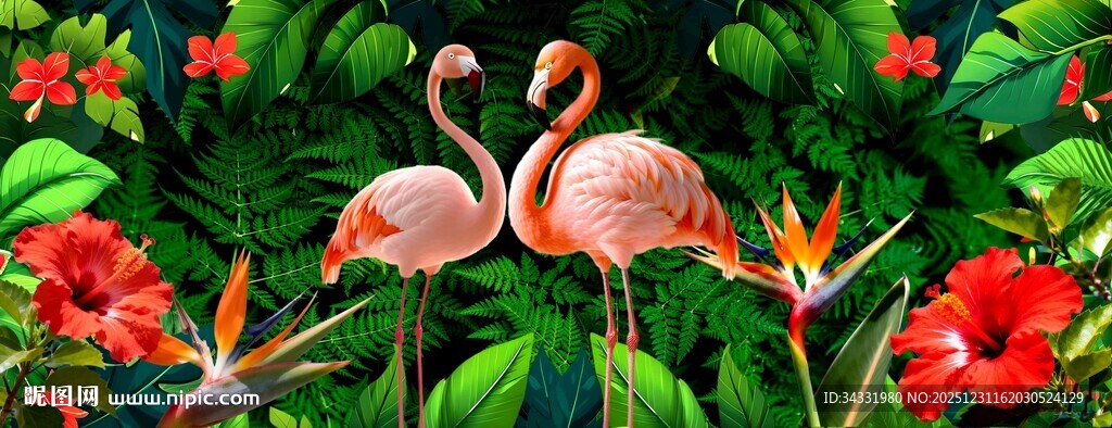 热带植物背景火烈鸟