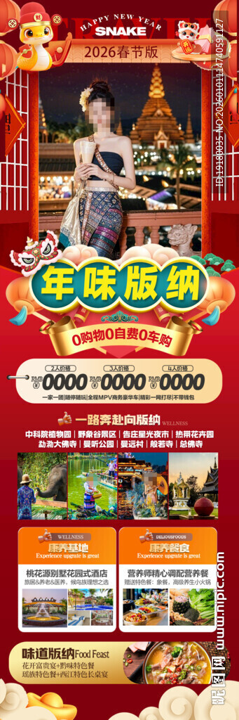 新年春节云西双版纳旅游海报