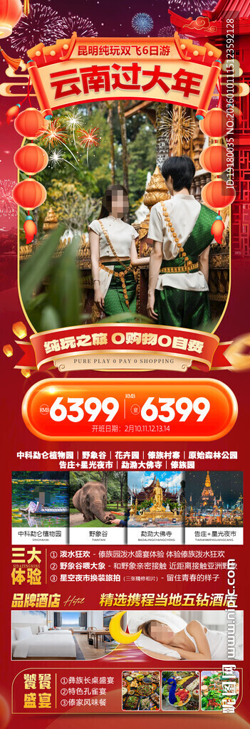 新年春节云西双版纳旅游海报