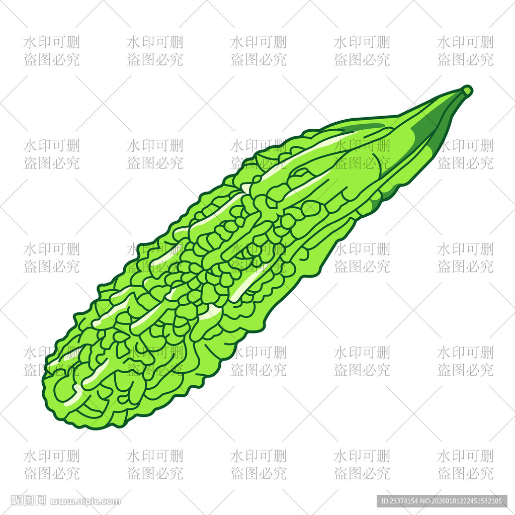 苦瓜插画