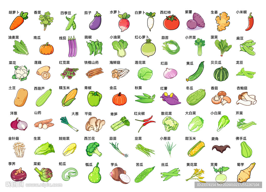 多彩蔬菜图标集合