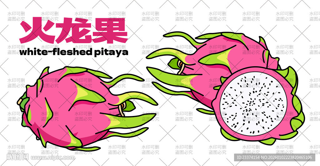 新鲜火龙果插画