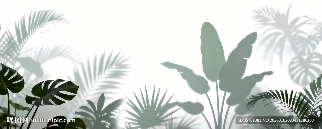 雾气磨砂膜效果绿植贴图