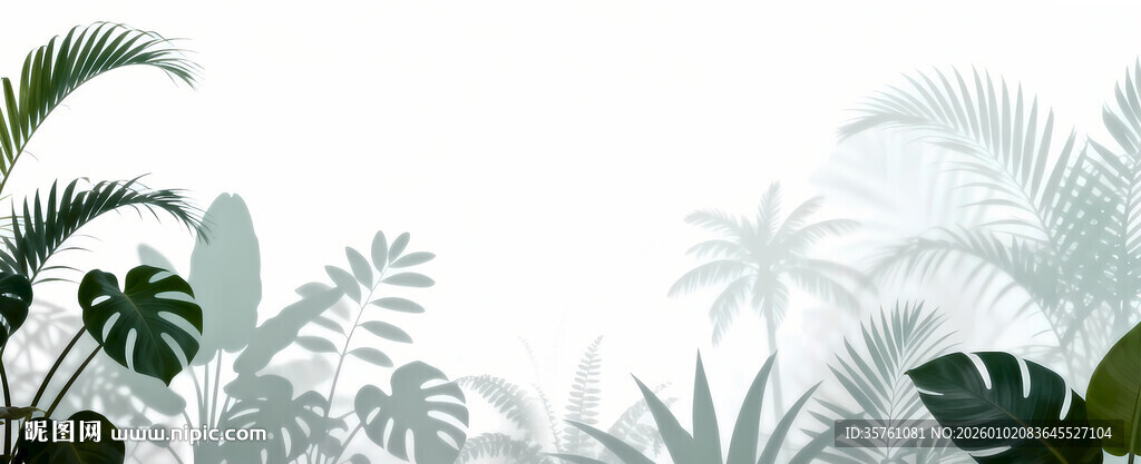 雾气磨砂膜效果绿植贴图