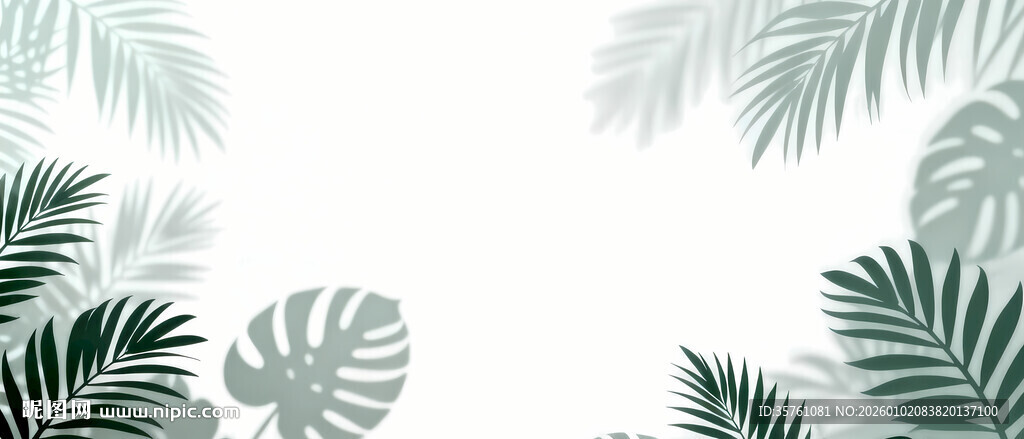 雾气磨砂膜效果绿植贴图