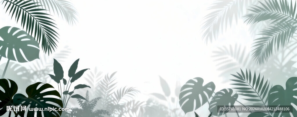 雾气磨砂膜效果绿植贴图