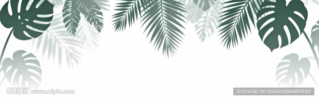 雾气磨砂膜效果绿植贴图