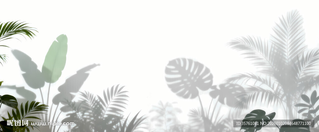 雾气磨砂膜效果绿植贴图