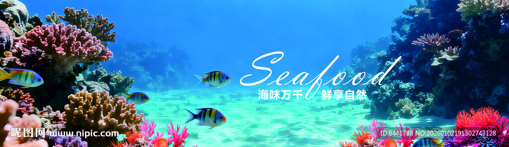 海底梦幻珊瑚景观