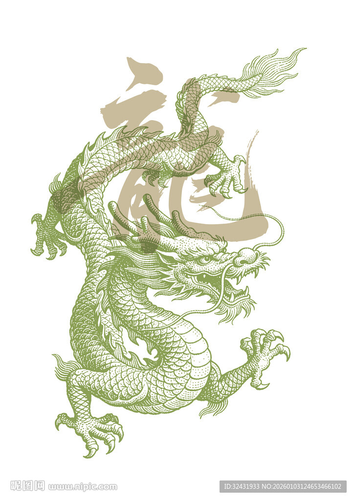 中国龙插画