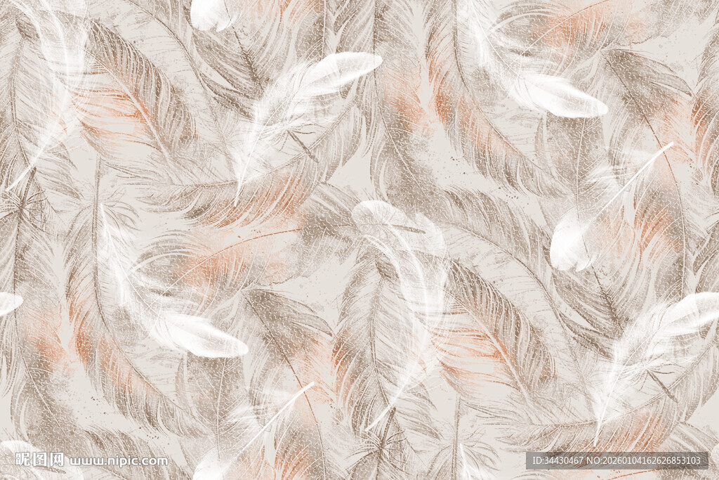 羽毛纹理图案