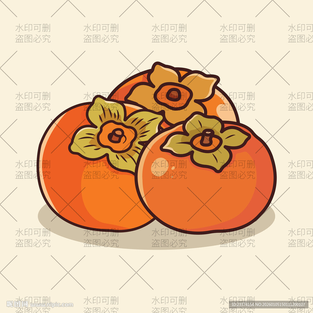 手绘柿子插画