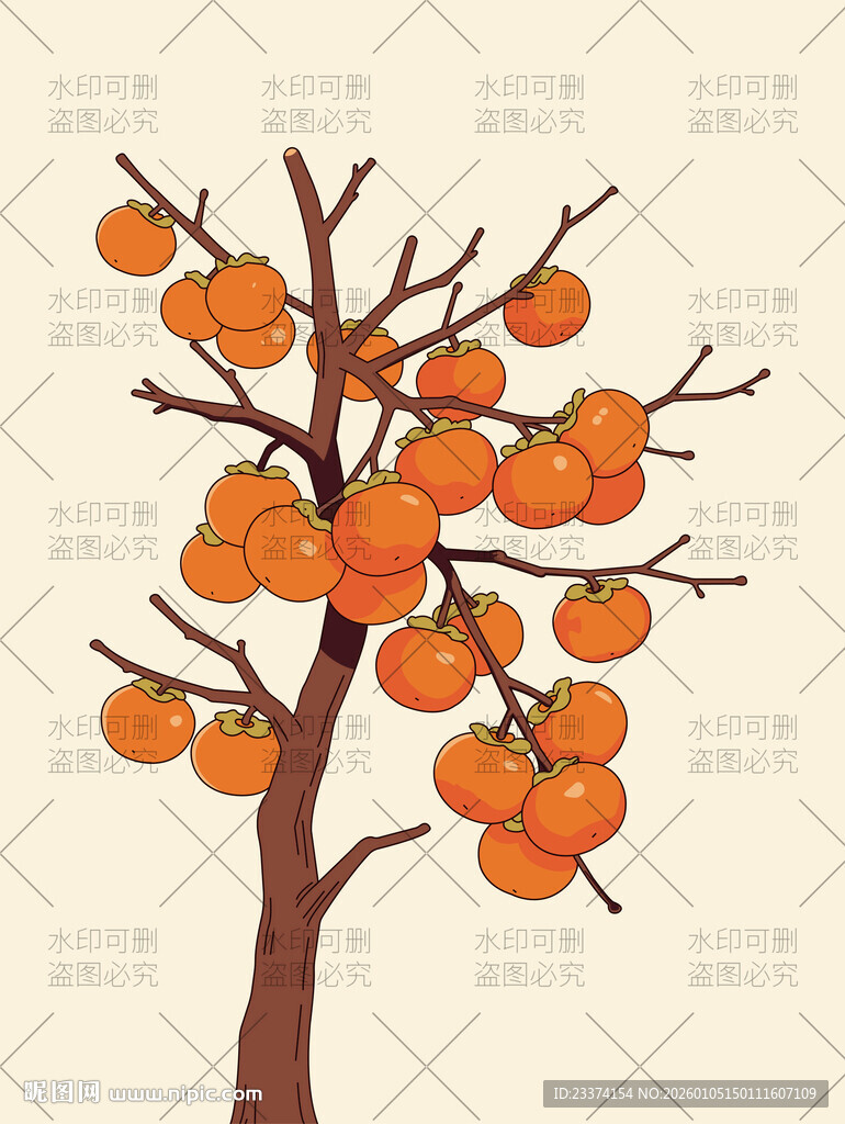 柿子树插画