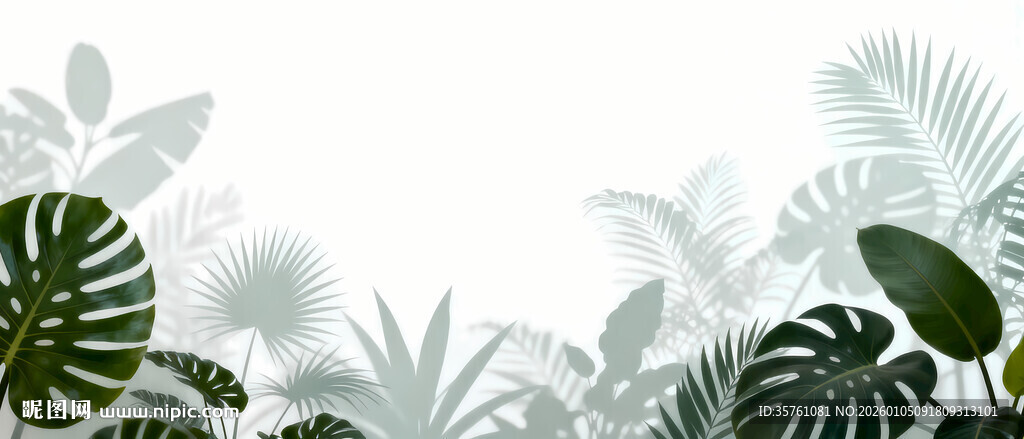 雾气磨砂膜效果绿植贴图