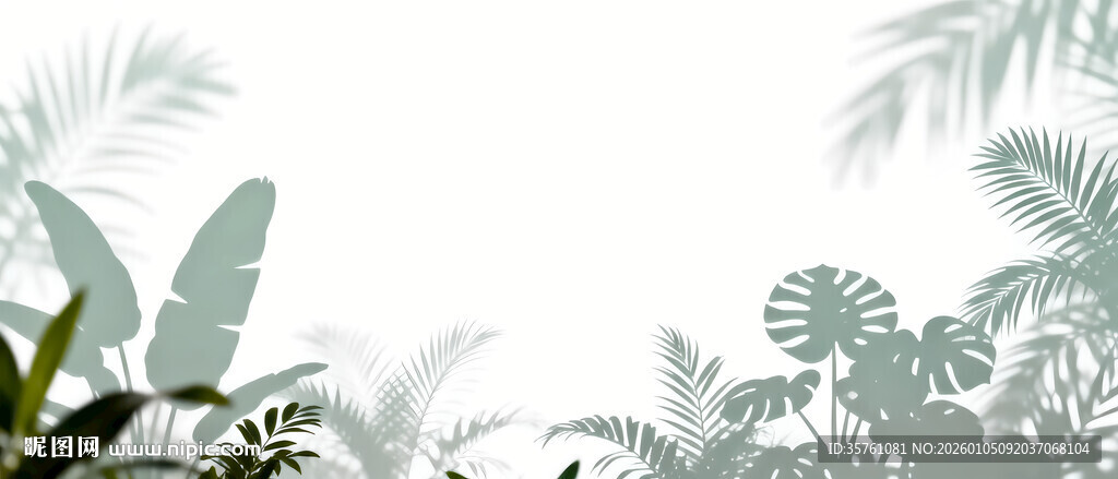 雾气磨砂膜效果绿植贴图