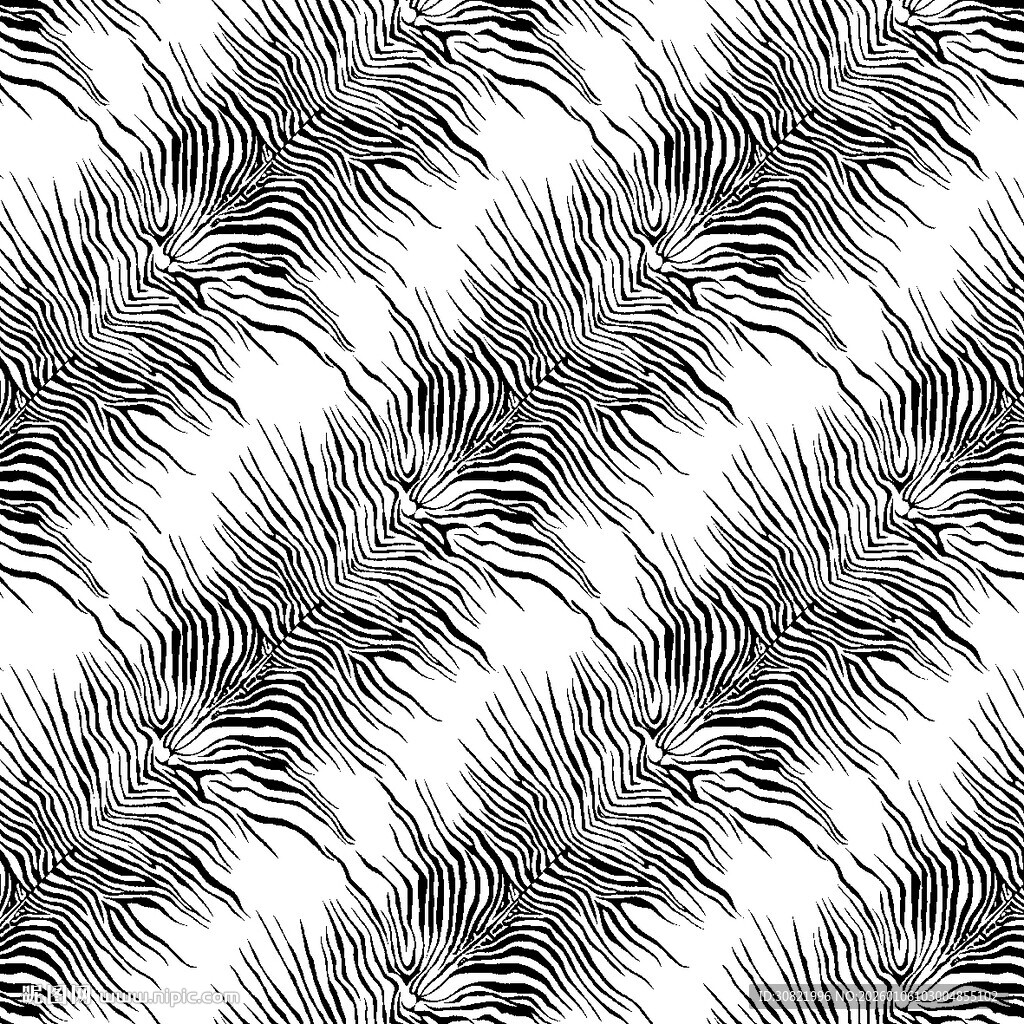 斑马纹图案