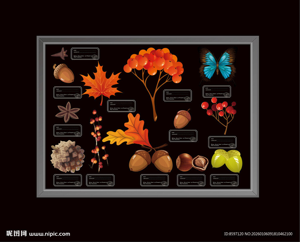 植物挂饰装饰画