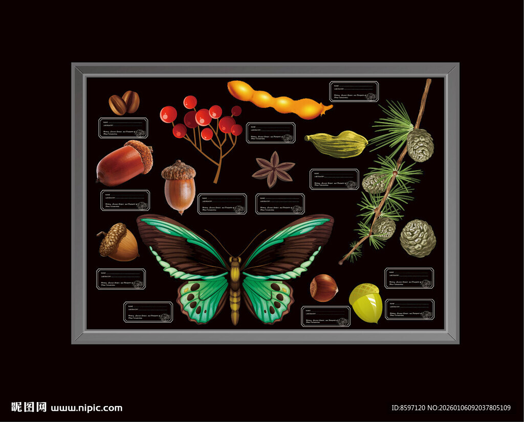 植物蝴碟坚果装饰挂画