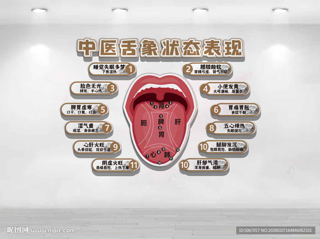 中医舌象状态表现