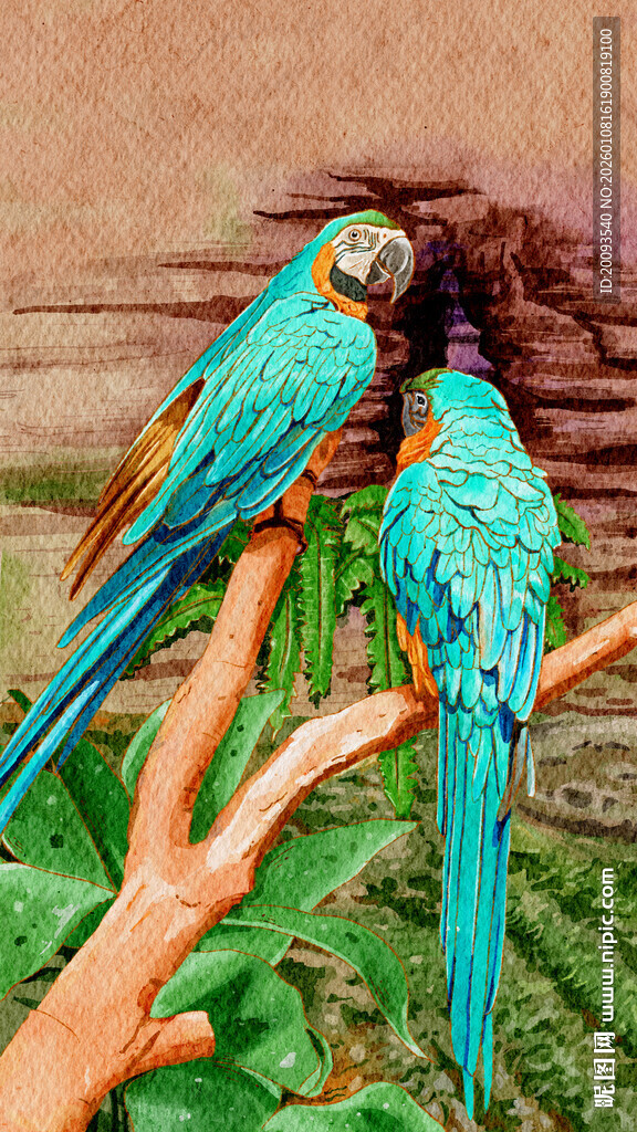 树枝上的多彩鹦鹉