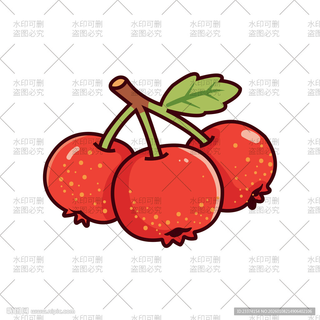 山楂插画