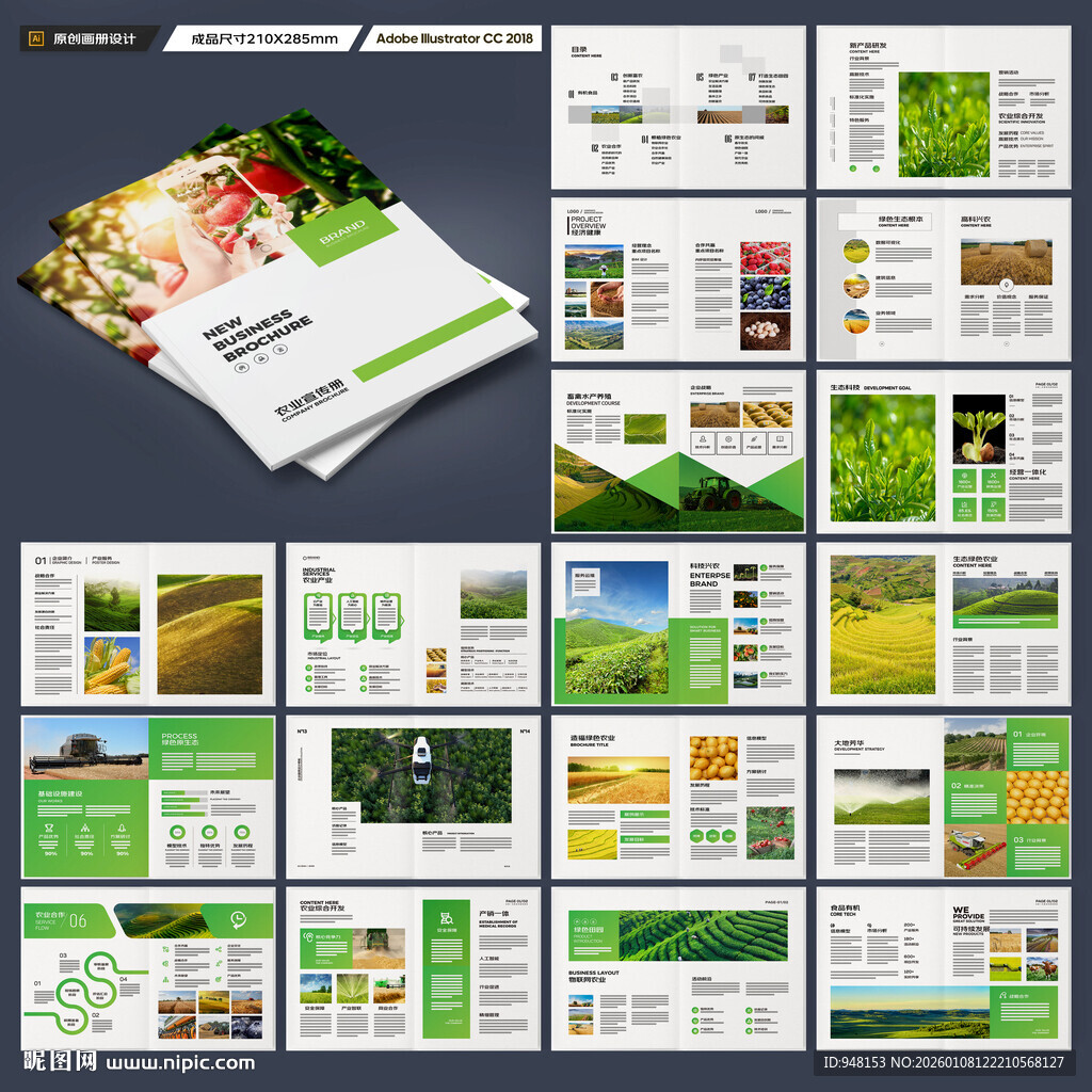 农产品宣传册