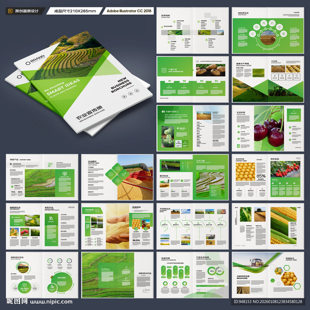 农业宣传册