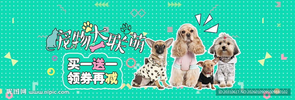 萌宠派对 开启欢乐时光