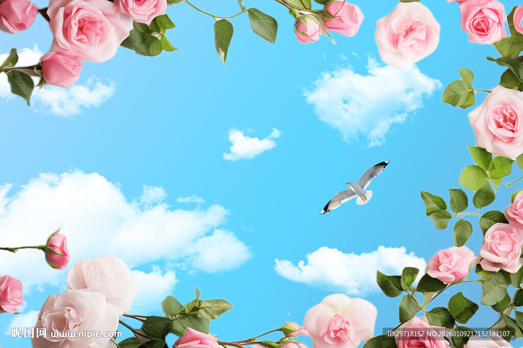 蓝天粉花下的白鸽美景