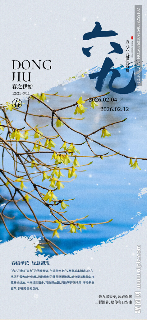 春日枝头绽放的黄色花朵