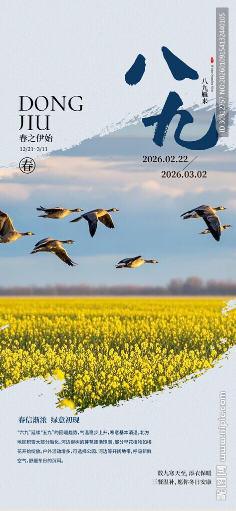 九龙油菜花田与飞鸟景观