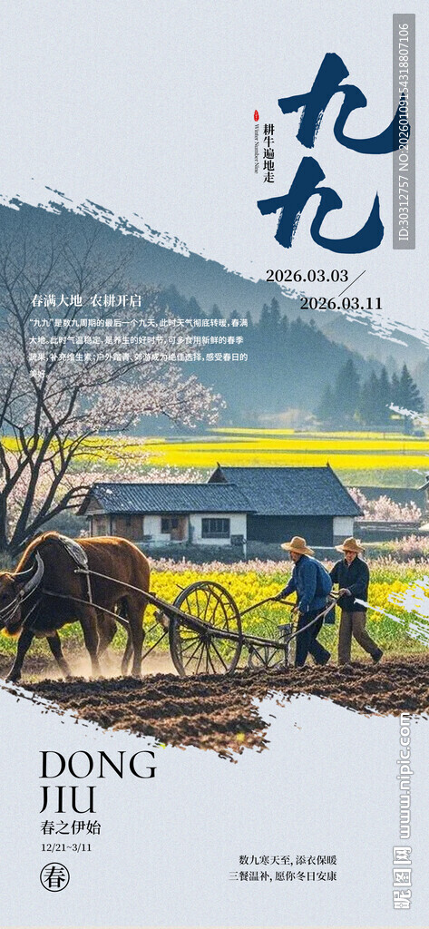 乡村田野间的九九景象