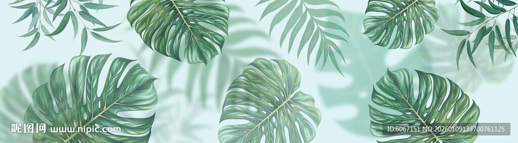 热带雨林绿植雾气模糊背景