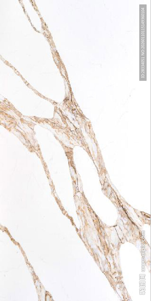 白色鱼肚金大理石石纹